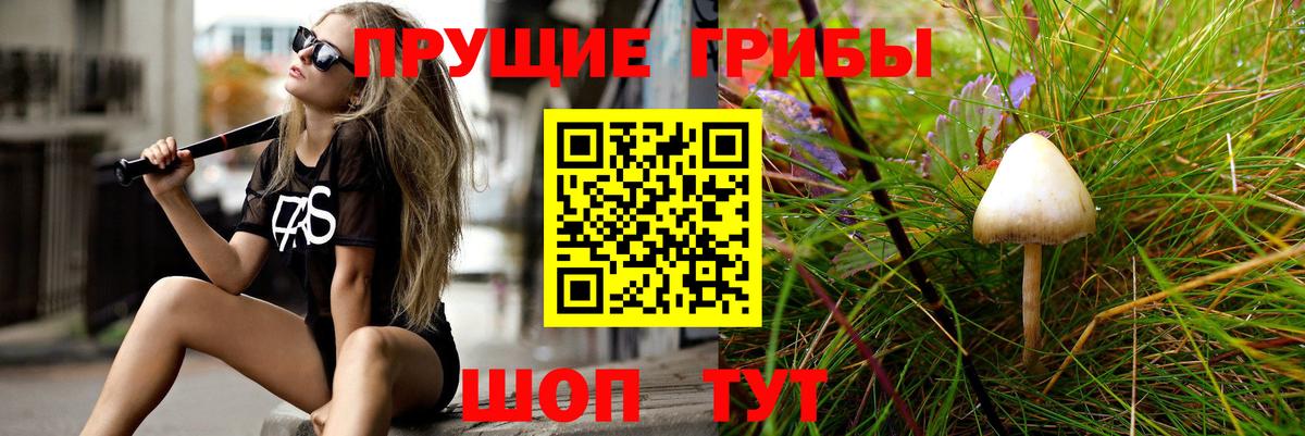 Киреевск  Псилоцибиновые грибы ЛСД  Вход с VPN 
